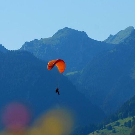 Chalet Clos Moccand Samoëns Exteriör bild